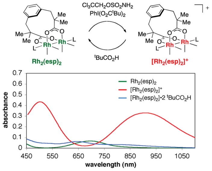 FIGURE 25