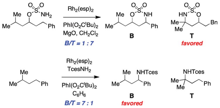 FIGURE 21