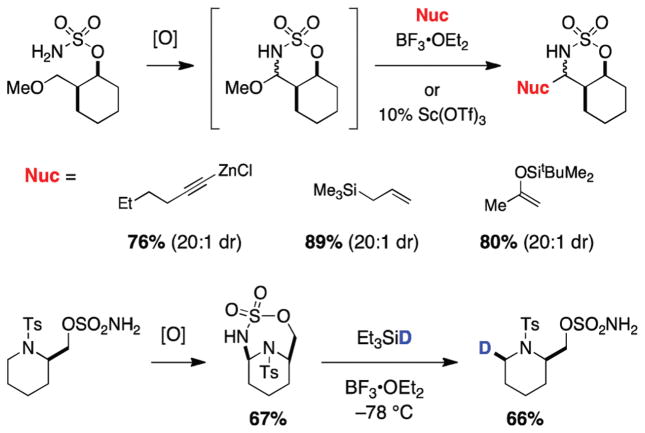 FIGURE 12