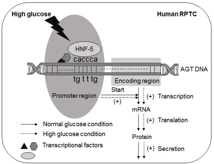 Fig 6