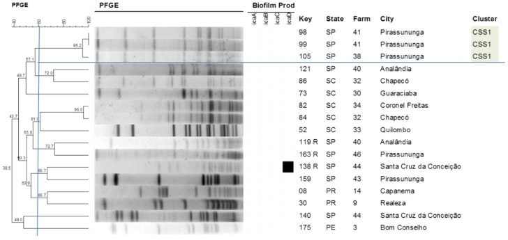 Figure 5