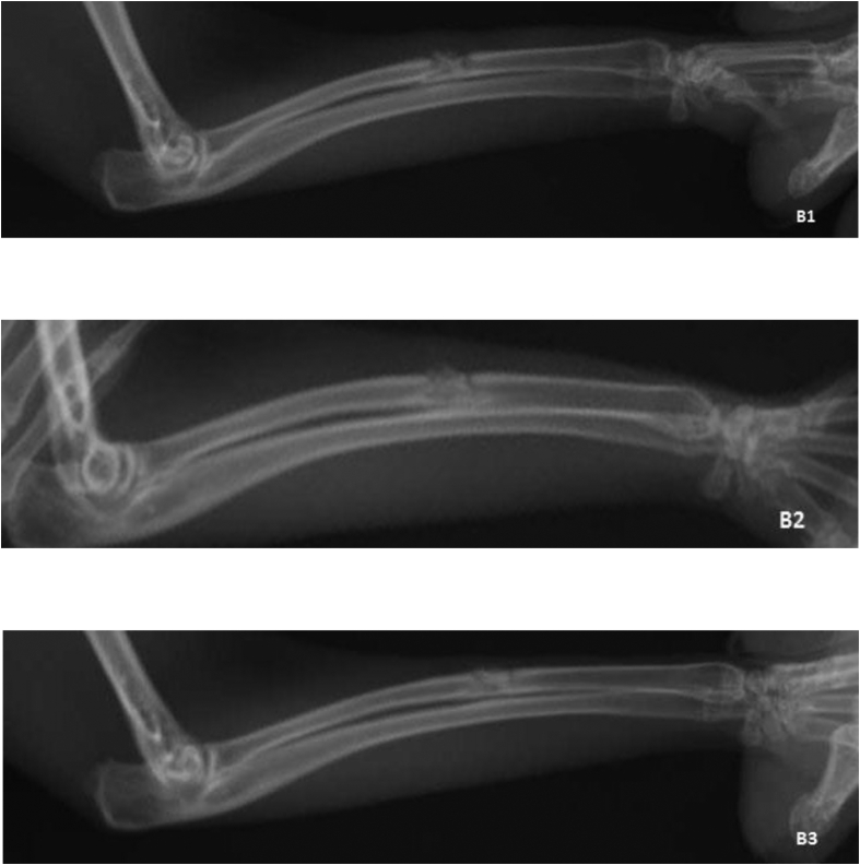 Figure 2