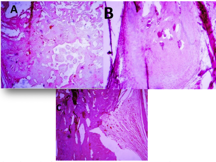 Figure 4