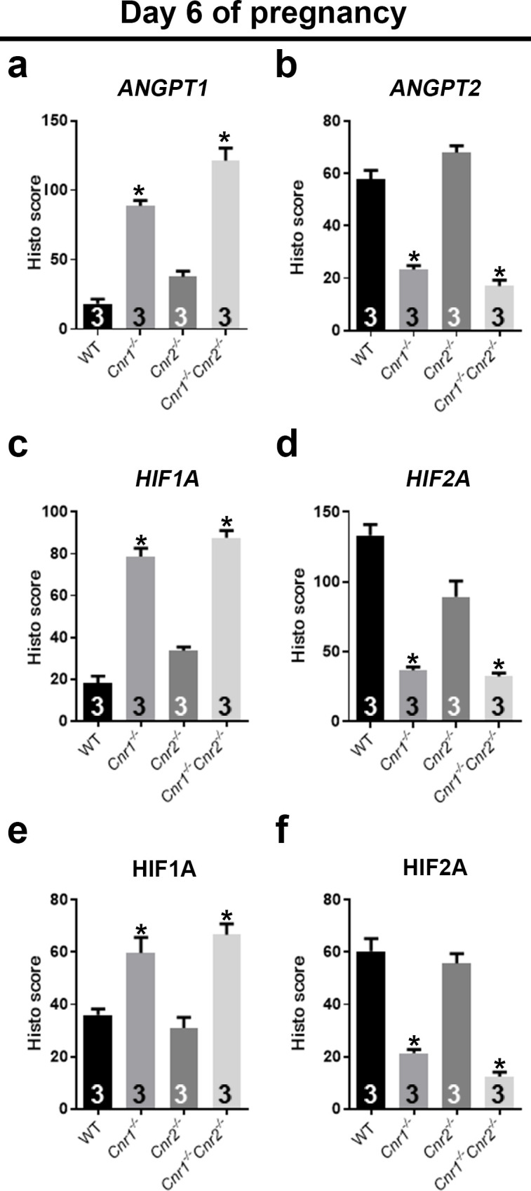 Figure 5—figure supplement 1.