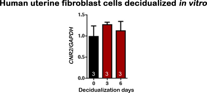 Figure 7—figure supplement 2.