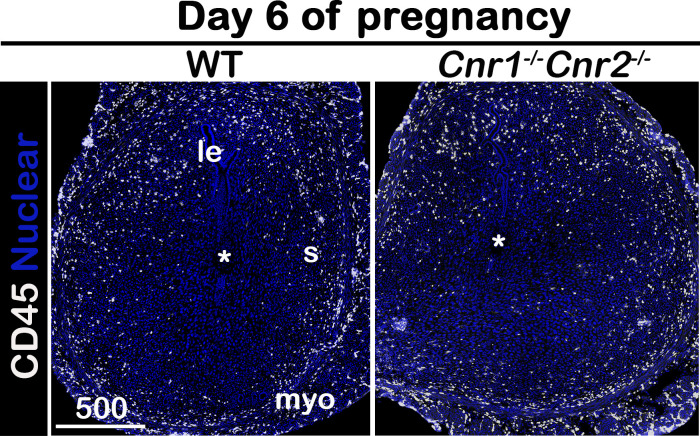 Figure 3—figure supplement 1.