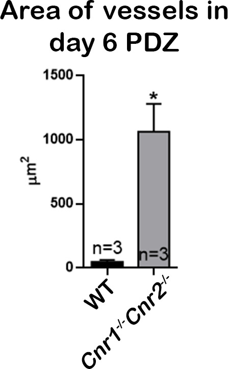 Figure 4—figure supplement 1.