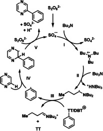 Scheme 2