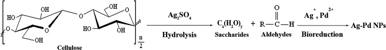 Fig. 5