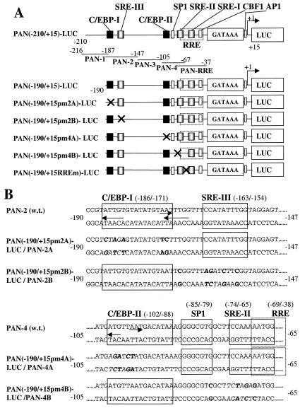 FIG. 10.