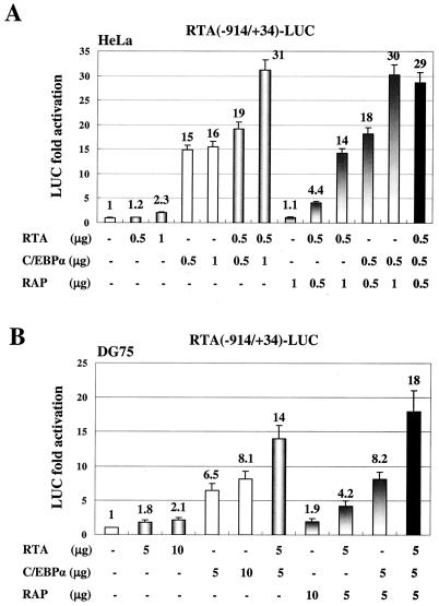 FIG. 1.