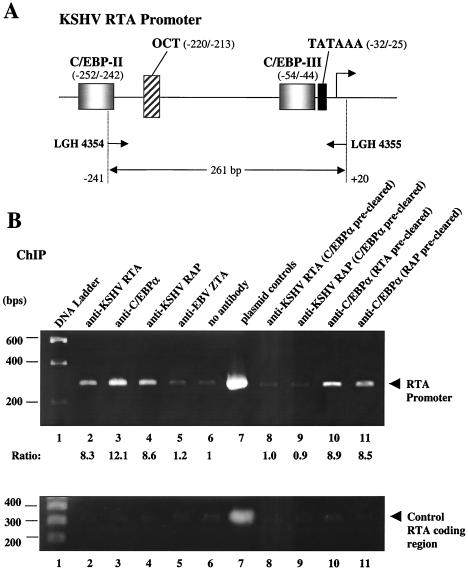 FIG. 5.