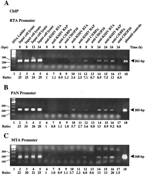 FIG. 12.