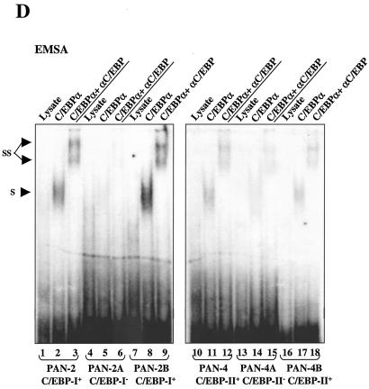 FIG. 10.