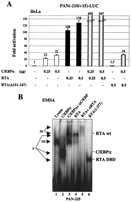 FIG. 9.