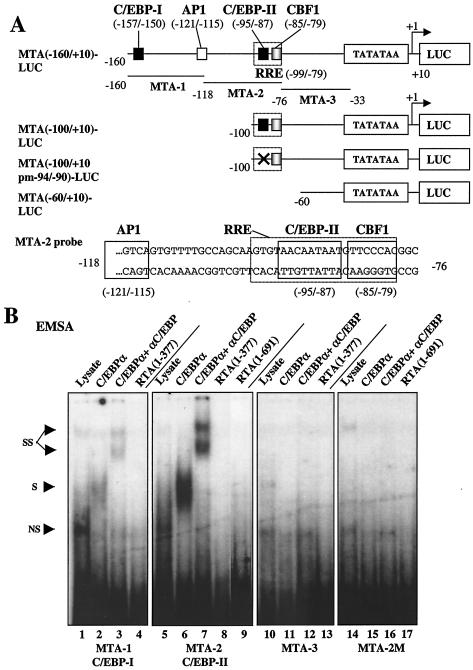 FIG. 11.