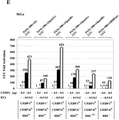 FIG. 10.