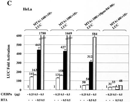 FIG. 11.