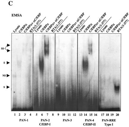 FIG. 10.