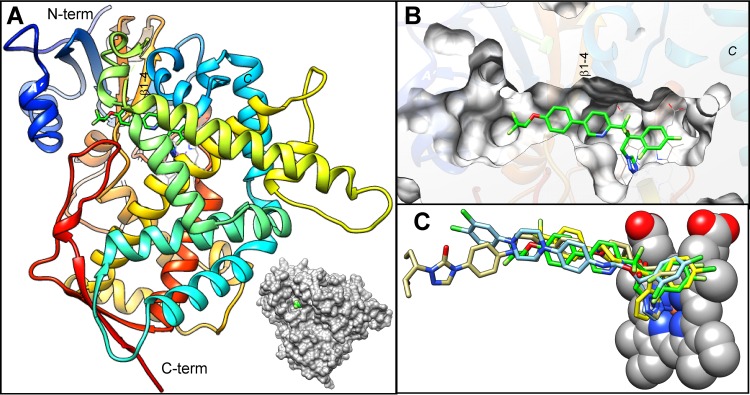 FIG 6