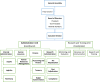 Mozambique Institute For Health Education and Research (MIHER) organizational chart