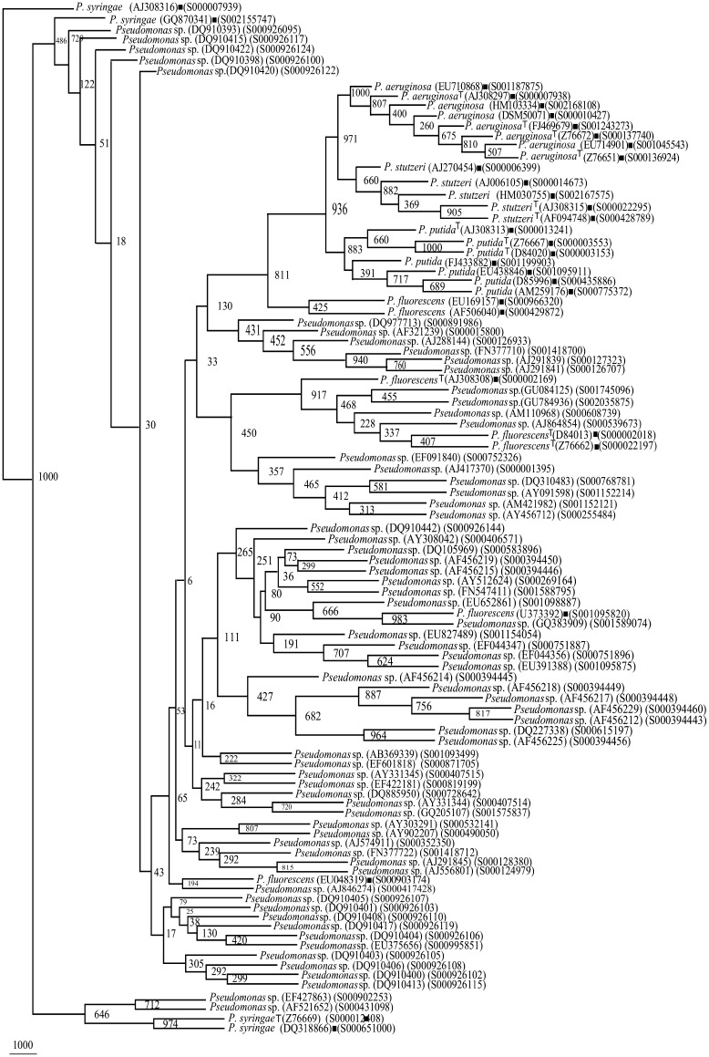 Fig. 4