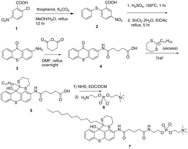 Scheme 3