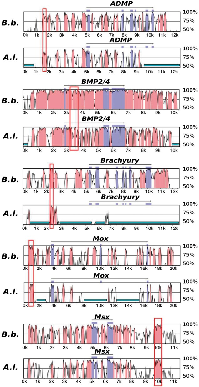 Fig. 3.—