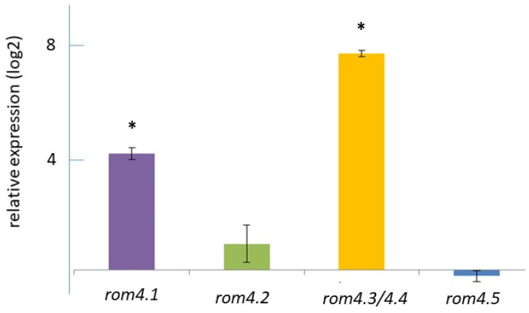 Figure 4