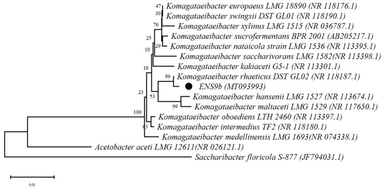 Figure 1