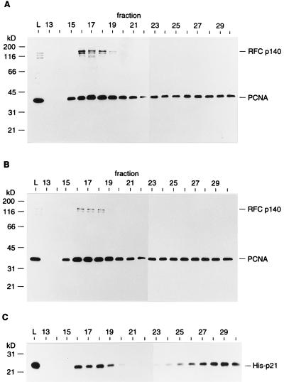 FIG. 6