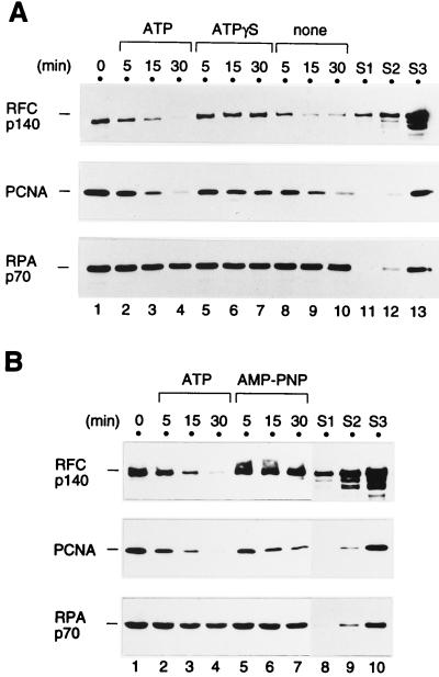 FIG. 7