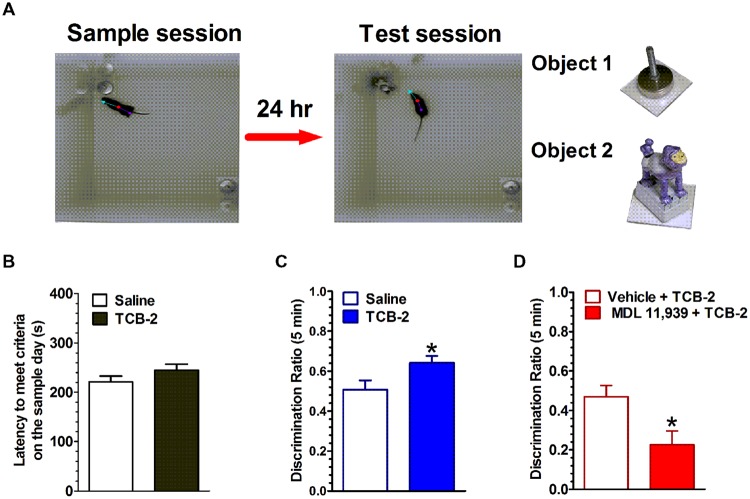 FIGURE 1