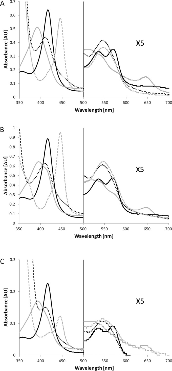 FIG 4