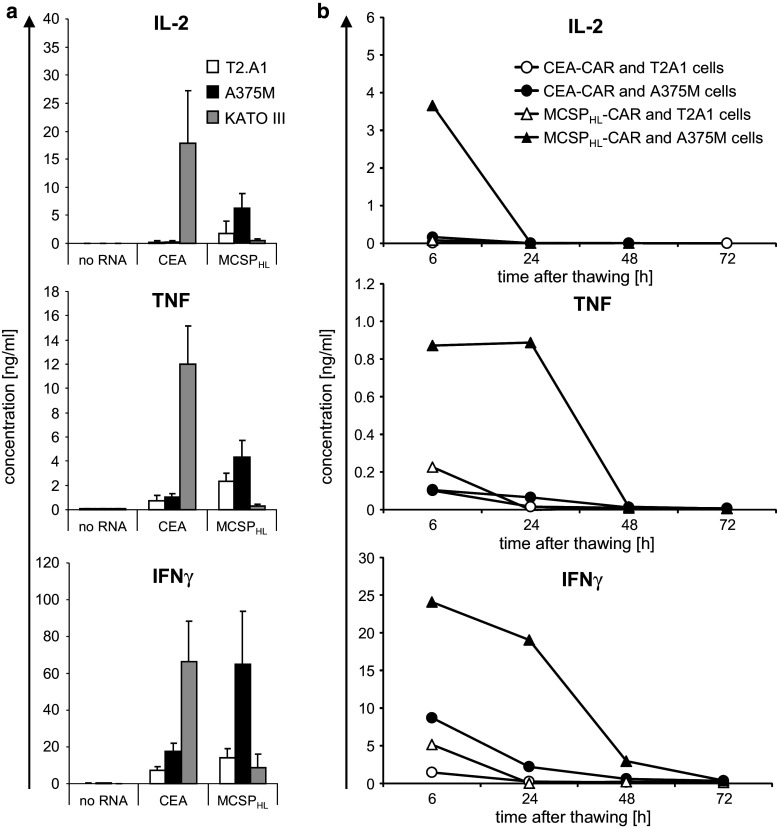 Fig. 6