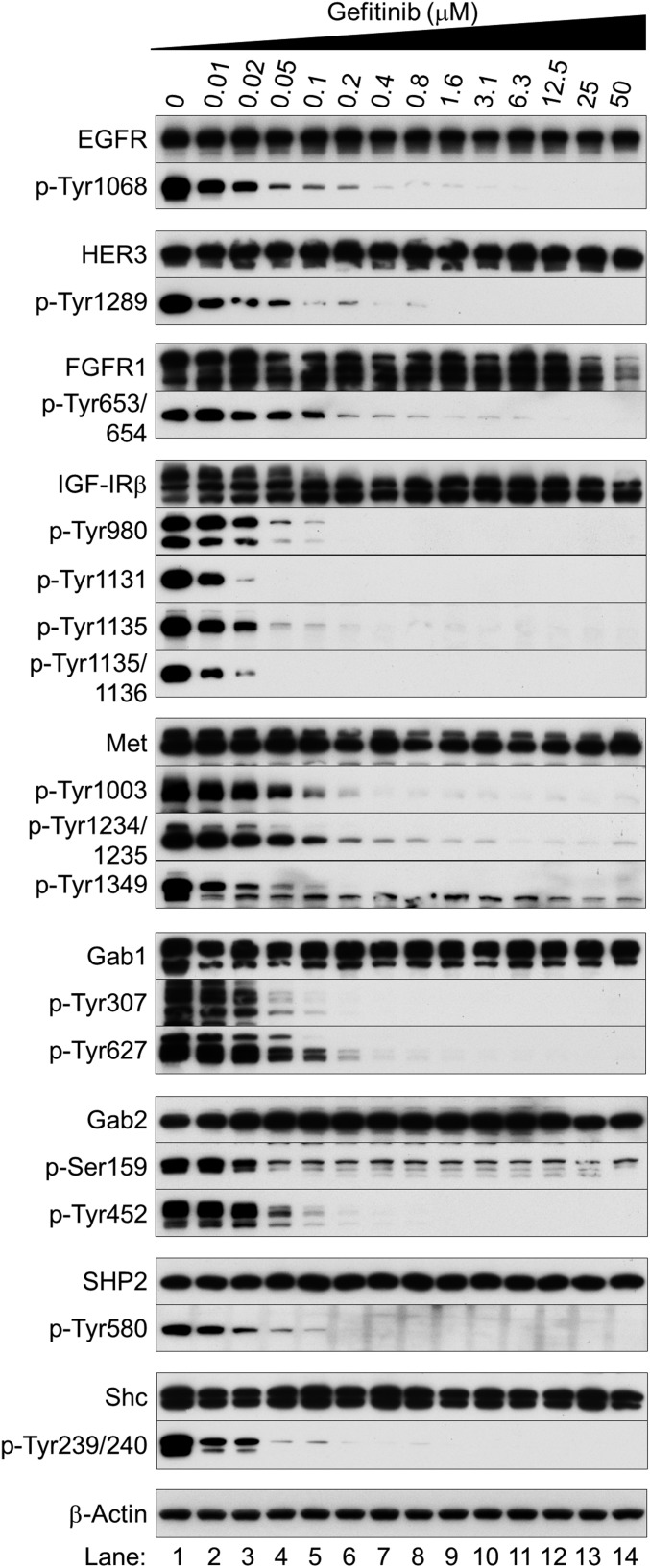 Fig. S7.