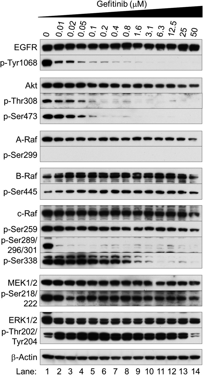 Fig. S4.