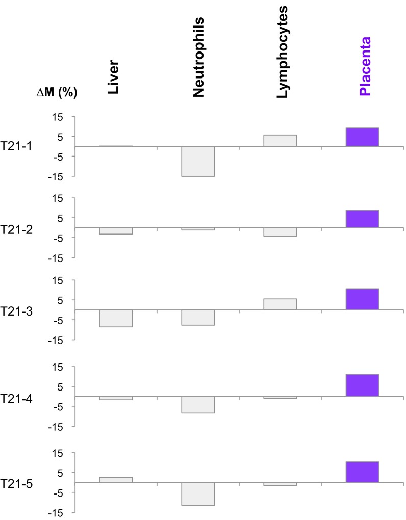 Fig. 10.