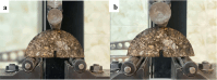 Fig. 11