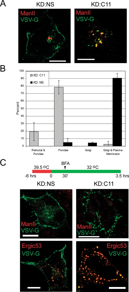 FIGURE 6: