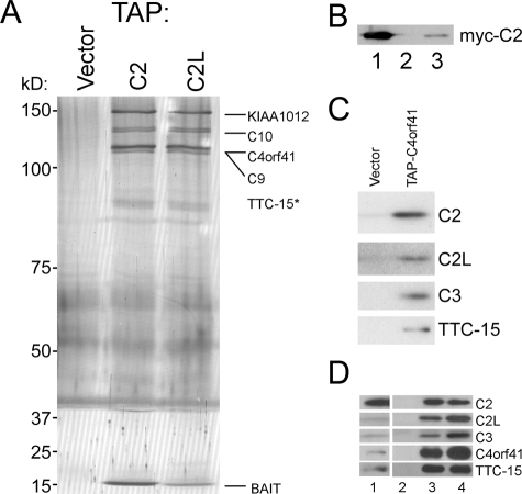 FIGURE 1: