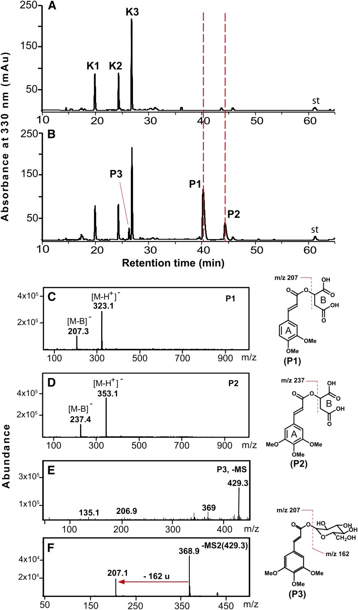 Figure 7.