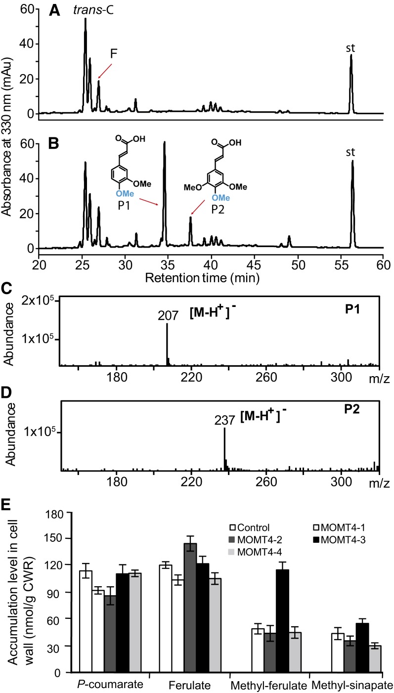 Figure 6.