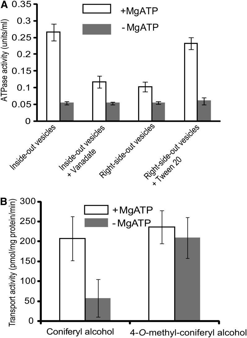 Figure 5.