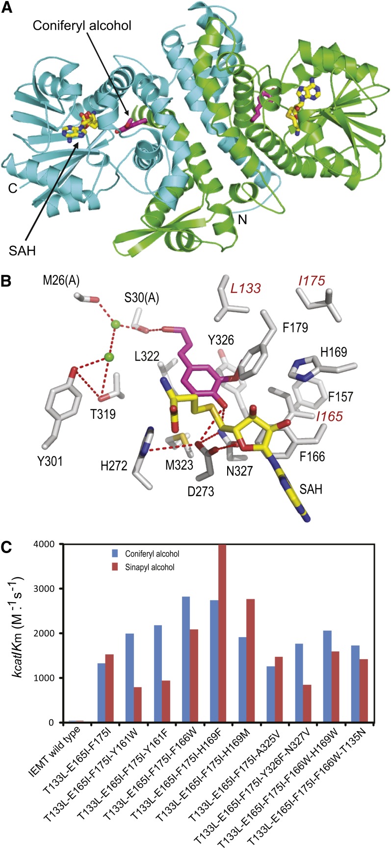 Figure 2.