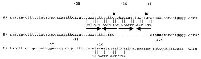 FIG. 6