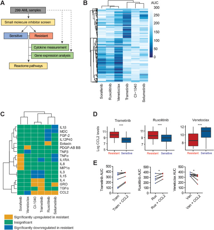 Figure 1. Distinct cytokines and signaling pathways are associated with drug responses in AML. A, Representation of the data integration approach from 299 primary AML samples. Secreted cytokine levels using plasma derived from 299 AML patient samples, and the Beat AML database was leveraged for the ex vivo drug sensitivity and gene expression analysis for the matched samples. The drug screening data were classified as sensitive or resistant based on AUC for each drug and were integrated with the cytokine, RNA-seq, and Reactome pathway analysis. B, Hierarchical clustering of AUC for the indicated inhibitors for the 299 AML samples. C, Heat map constructed by integrating the cytokine expression data with ex vivo sensitivity profile of the inhibitors. Statistical significance was determined by t test with P value <0.05 as significant. D, CCL2 protein levels for AML patient samples sensitive and resistant to trametinib, ruxolitinib, and venetoclax from Fig. 1C. The measured abundance of CCL2 was log2-transformed in the plot. E, Ex vivo drug response of primary AML cells treated with the indicated inhibitors on a concentration gradient with or without 10 ng/mL CCL2 for 72 hours. Viability was determined by the MTS assay cell viability assay, and the results are represented as the AUC of individual samples (trametinib:Tram = 6, ruxolitinib: Rux n = 5, venetoclax: Ven n = 7). Statistical significance was determined by the two-tailed paired Student t test. *, P ≤0.05 and ***, P ≤ 0.001.