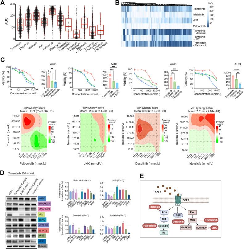 Figure. 4. Targeting PI3K/AKT, MAPK, or cell-cycle pathways overcomes drug resistance mediated by CCL2. A, Boxplots with AUC values from ex vivo drug response curves for trametinib or the indicated agent alone and in combination with trametinib for indicated drugs for AML patient samples from the Beat AML dataset. B, Unsupervised clustering analyses of the data from A. C, Top: Comparisons of drug–response curves of MOLM13 trametinib-resistant cells treated with trametinib, tested as single agents or in combination with palbociclib, JNKi, dasatinib, and idelalisib with a dose gradient of 0.004 to 10 μmol/L, and their respective AUC. Statistical significance was determined using the one-way ANOVA. Bottom: Analyses of corresponding synergy matrix with red indicating synergistic action calculated using SynergyFinder. D, Immunoblot analysis of the trametinib-resistant MOLM13 cell line treated with trametinib (100 nmol/L) alone or in combination with palbociclib (5 μmol/L), JNKi (5 μmol/L), dasatinib (5 μmol/L), and idelalisib (5 μmol/L) as indicated. Relative band intensities from three independent experiments were measured with ImageJ, normalized to β-actin, and represented relative to DMSO-only treatment control, which is represented as a dashed line. E, Pathways targeted by specific small-molecule inhibitors used in A–D, in combination with trametinib, which were found activated in trametinib-resistant AML cells downstream of CCL2. *, P ≤ 0.05; **, P ≤ 0.01; ***, P ≤ 0.001; ****, P ≤ 0.0001.