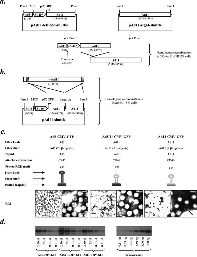 FIG.3.