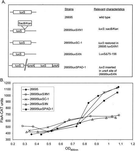 FIG. 4.